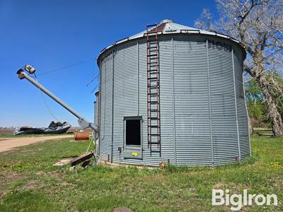 Sioux 29' Grain Bin
