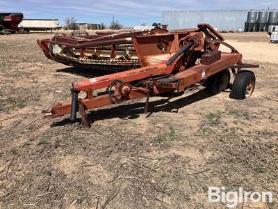 International 1290 Hay Bine