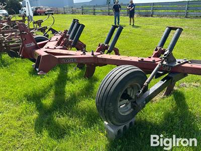 Case IH 14 5 Shank Ripper