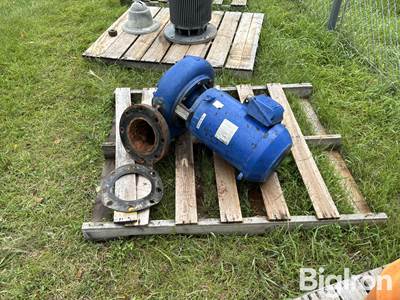 Pentair Aurora Centrifugal Pump w/WEG Nema Premium Motor