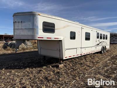 2006 Bison Stratus T/A Horse Trailer