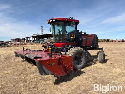 2013 Case IH WD2303 Windrower/Swather With RD196 Head