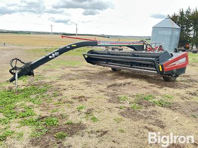 2005 MacDon 5020 Swing Arm Mower Conditioner