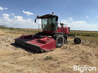 2019 Massey Ferguson WR9980 Self-Propelled Windrower