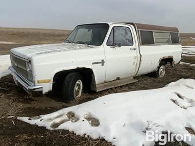 1981 Chevrolet Custom Deluxe 10 2WD Pickup w/Topper