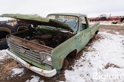 1976 Chevrolet Scottsdale 20 Pickup