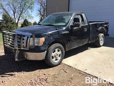 2010 Ford F150 Pickup