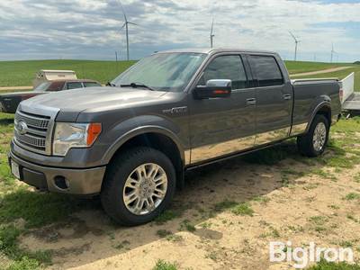 2010 Ford F150 Platinum 4x4 Crew Cab Pickup