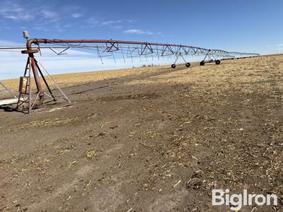 Reinke 2-6E5-C 8-Tower Center Pivot