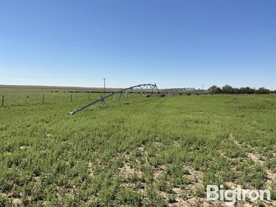 Zimmatic 307 7-Tower Center Pivot