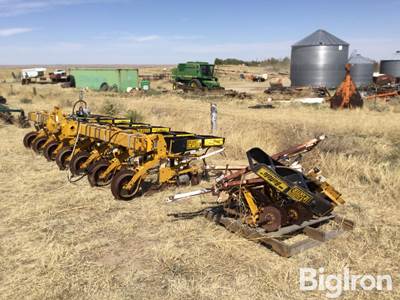 Buffalo Plateless 8R30" Planter