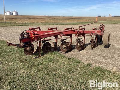 International 720 5 Moldboard Plow
