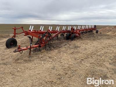 International 800 12 Bottom On-Land Plow