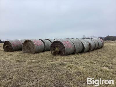 5'X6' Grass Hay Bales W/ Net Wrap