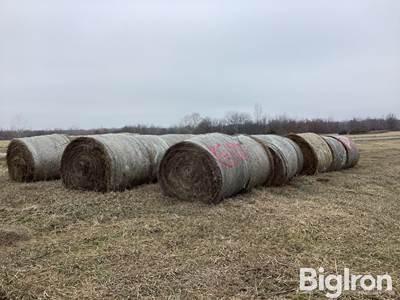21) 5'X6' Grass Hay Bales with Netwrap