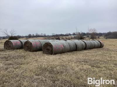 30) 5'X6' Grass Hay Bales with Netwrap