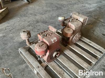 Briggs & Stratton Gas Engines