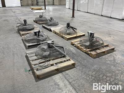 Dayton 30” Industrial Wall Mounted Fans