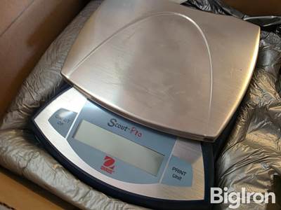 Scout Pro SP6000 Scale