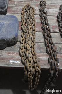 15' Log Chain