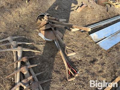 Scoop Shovel Assortment