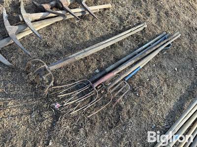 Pitchfork Assortment