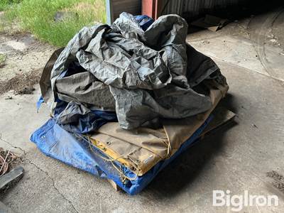 tarps