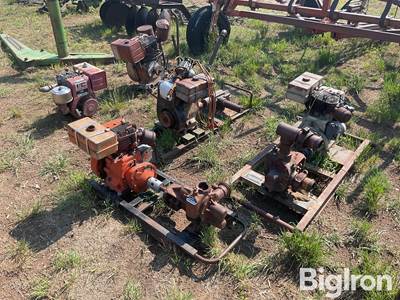 Small Gas Engines And Pumps