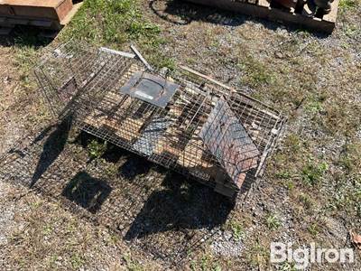 Animal Traps