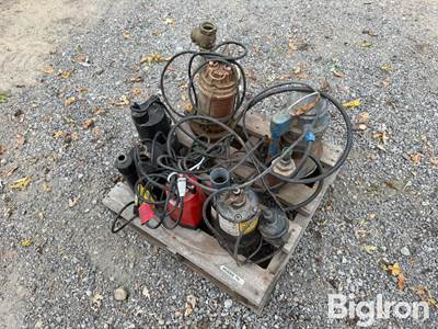 Electric Trash Pumps