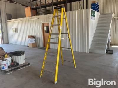 Werner 8’ Fiberglass Ladder