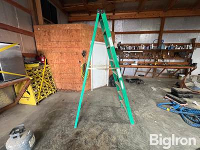 Werner 8' Step Ladder