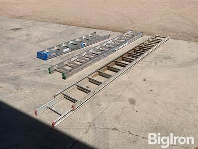 Werner Ladders