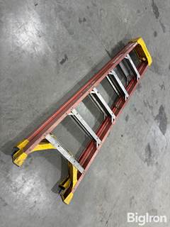 Werner 6' Ladder