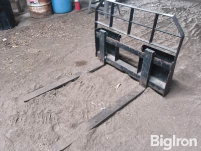 Arrow 48" Pallet Forks, 48" Wide Mast, Manual Adjust