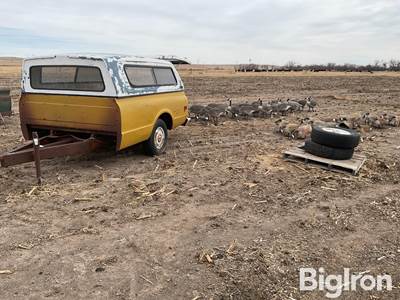 ‘67-‘72 Chevrolet Pickup Box Trailer w/Goose Decoys