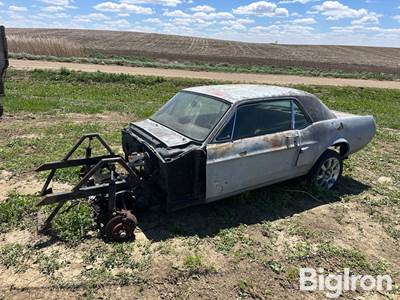 Ford Mustang Project/Parts Car