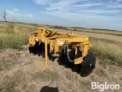 Rome TPW-8B Levee Disk