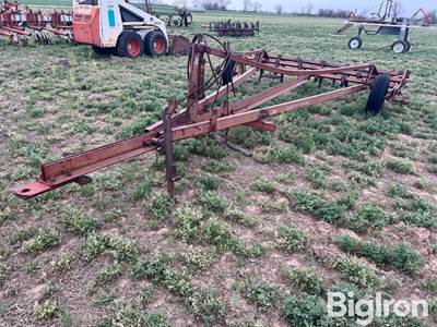 International Springtooth