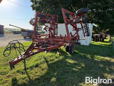 Sunflower 3030-21 Fallow King