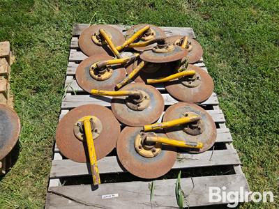 Buffalo Barring Off Discs