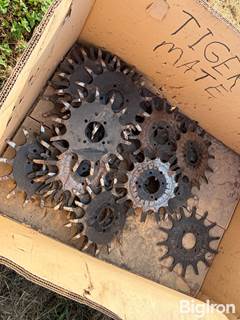 Martin 13" Spike Bevel Wheels