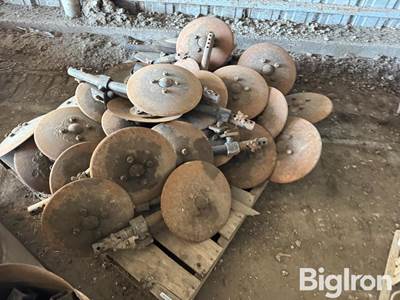 Cultivator baring off discs