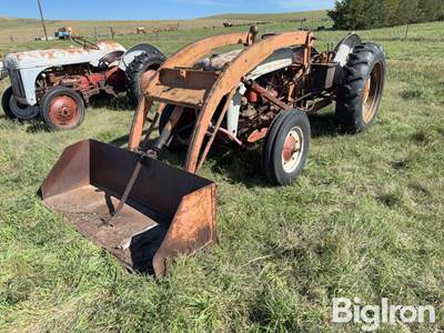 Ford 8N 2WD Tractor w/Loader
