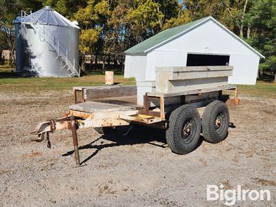 Custom T/A Trailer