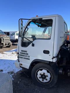 GMC W4500 Left Front Door Assembly