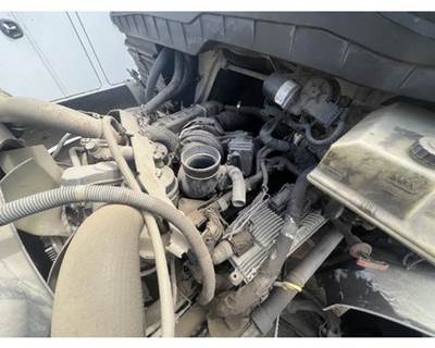 International MaxxForce 7 Engine Oil Pump for a International 4300