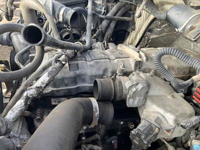 International Engine for a International 4400