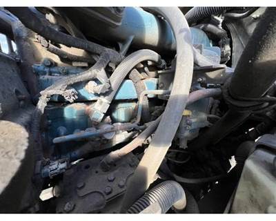 International 4300 Fuel Injector