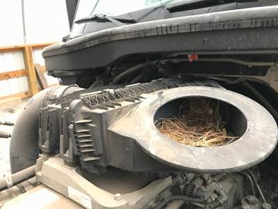 Freightliner Cascadia Air Cleaner / Air Filter Housing